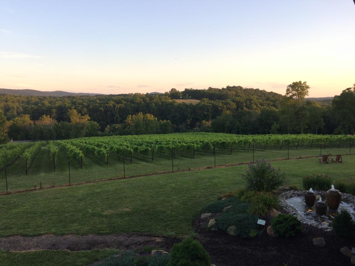 Cana Vineyards & Winery - Loudoun County, VA