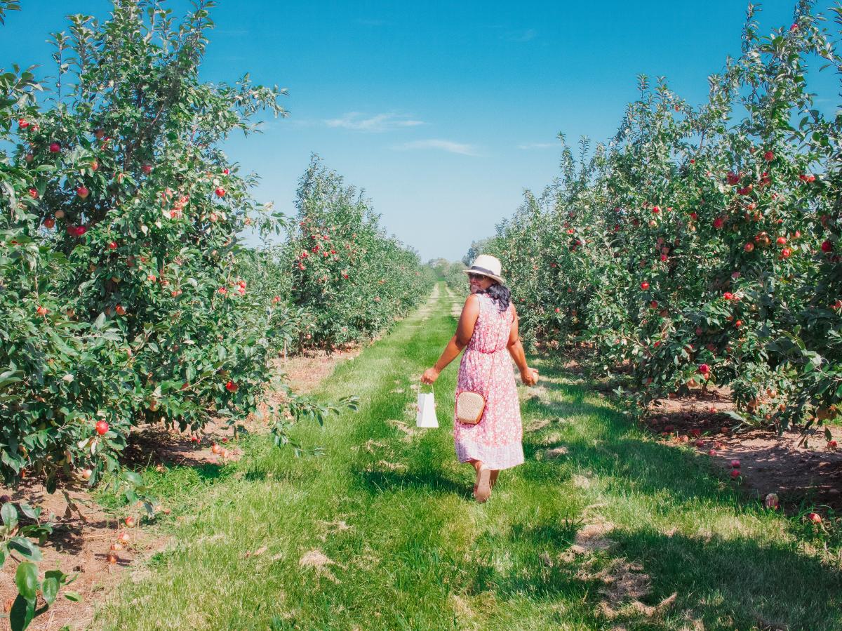 Cheryl Apples