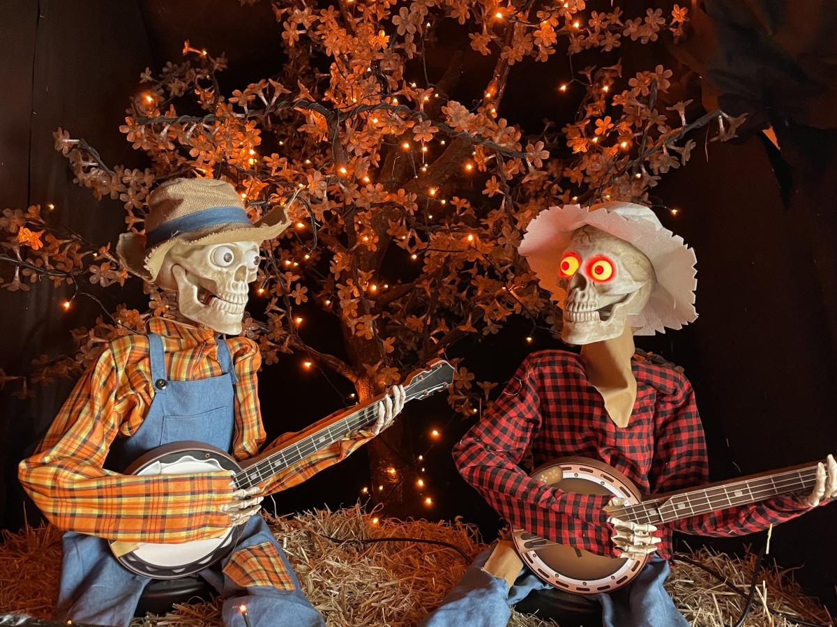 Frightfully fun at the farm at Longdown Activity Farm