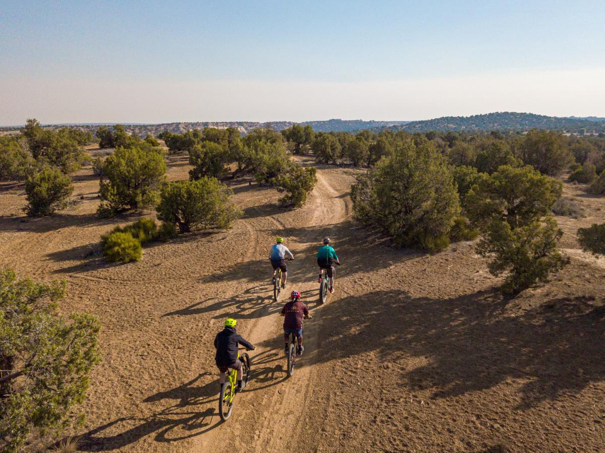 Four people on bikes ride down a desert path with green shrubbery scattered around. Mountains stand far off on the horizon.