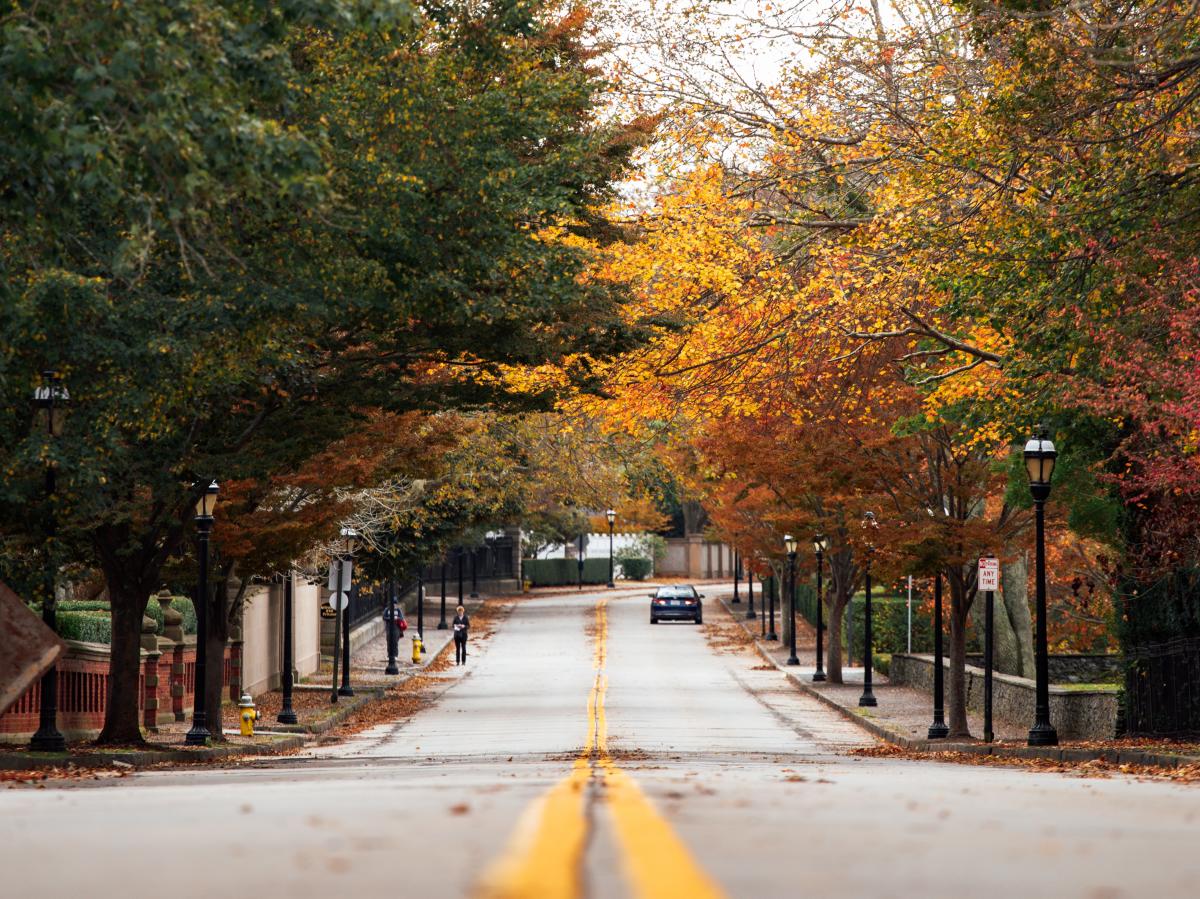 Bellevue Ave Fall Leaves