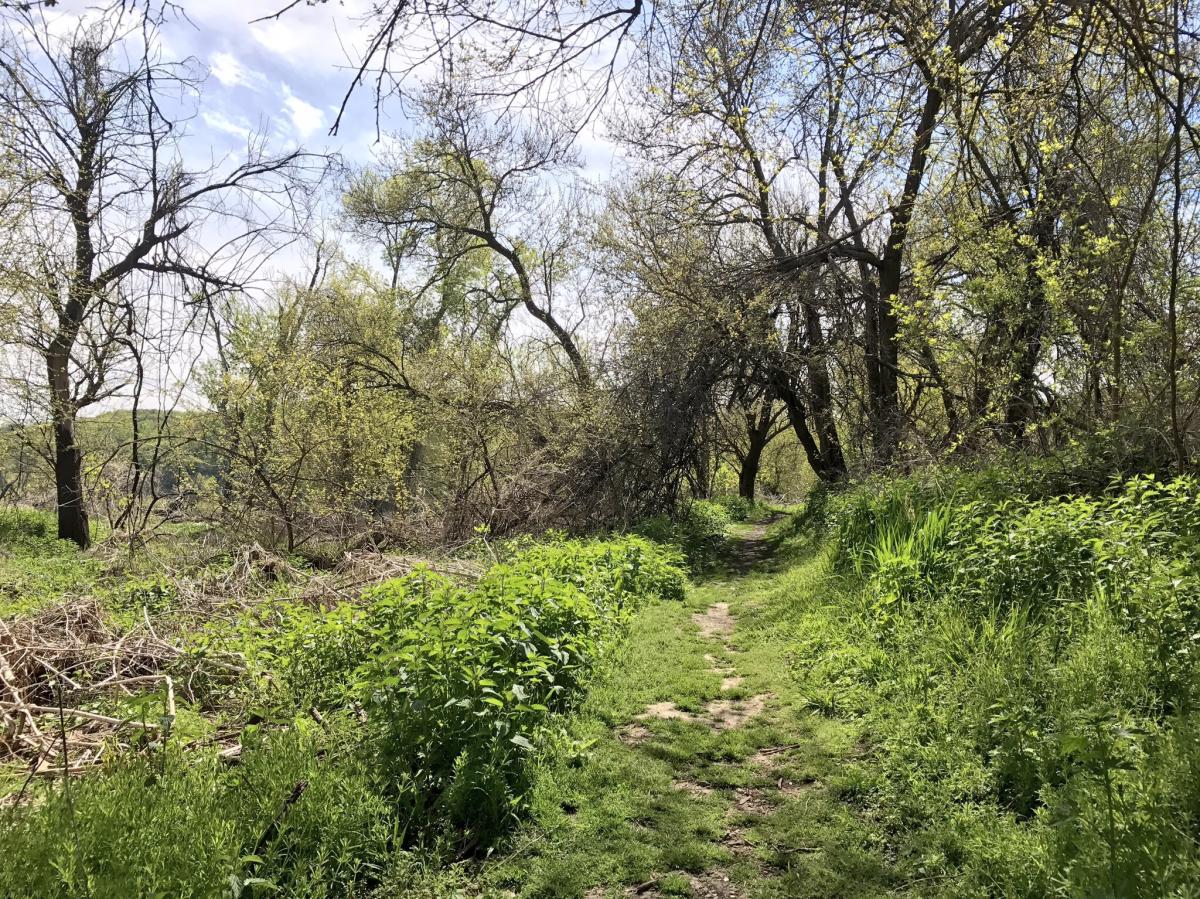 Fontenelle Forest trail