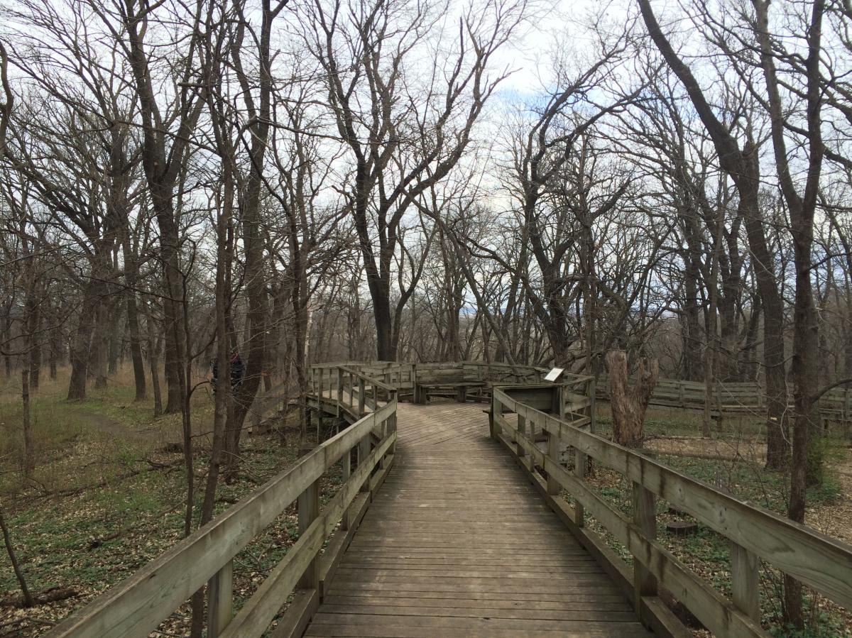 Fontenelle Forest
