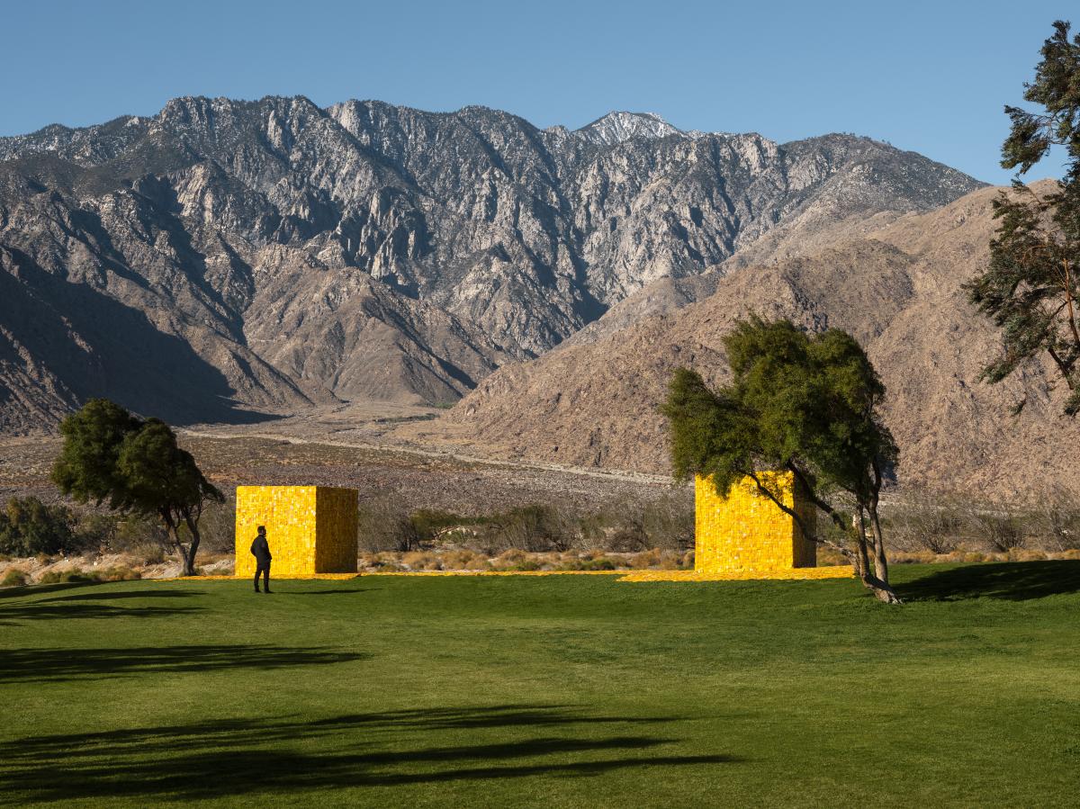 Two yellow box arts with mountains