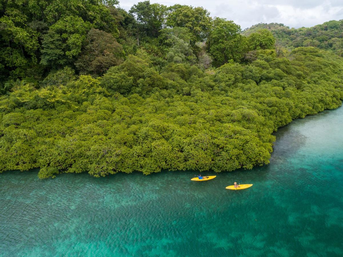 Venas azules, Portobelo National Park, Colón