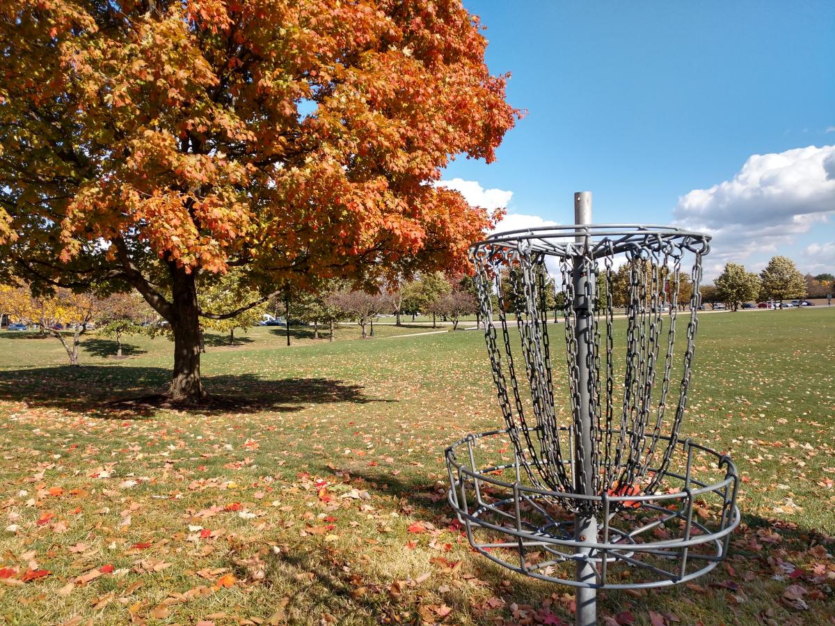Disc golf basket in pretty park with fall foliage