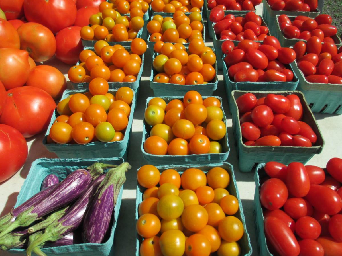 Ashland Farmers Market tomatoes