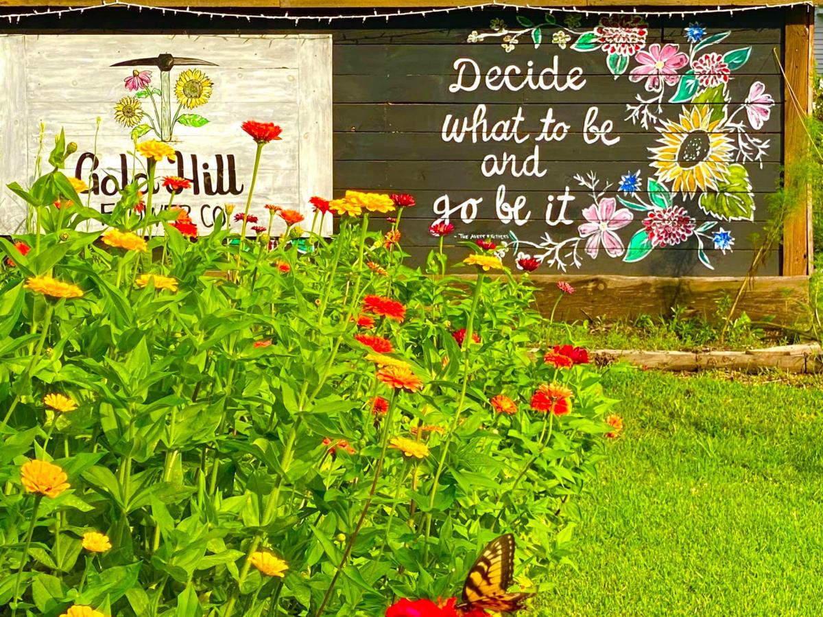Gold Hill Spring