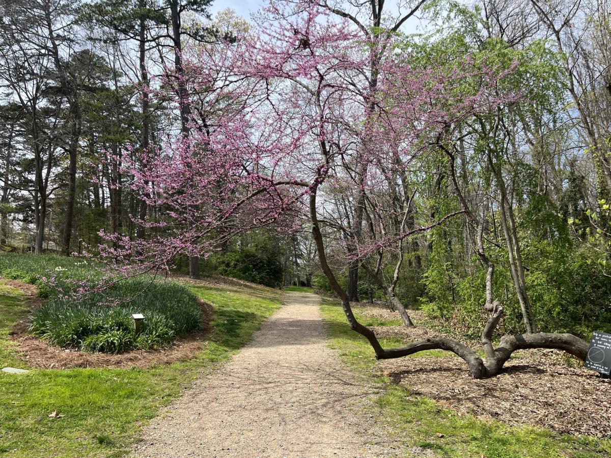 Hurley Park
