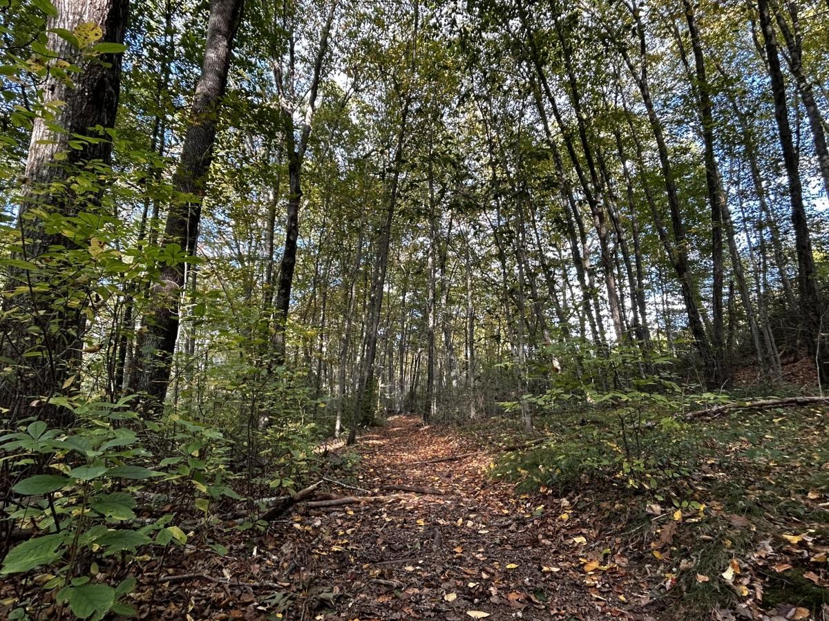 Champlin Farm Preserve