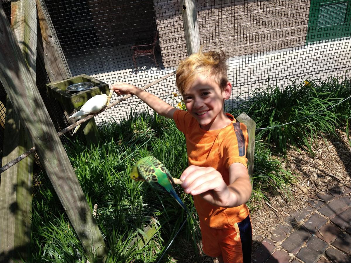 Yes Day in NWI - Washington Park Zoo birds