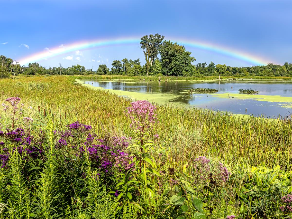 Rainbow at the Great Marsh