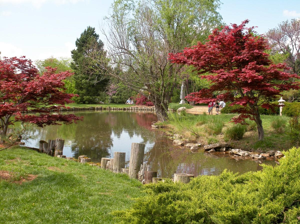 Mizumoto Japanese Stroll Garden