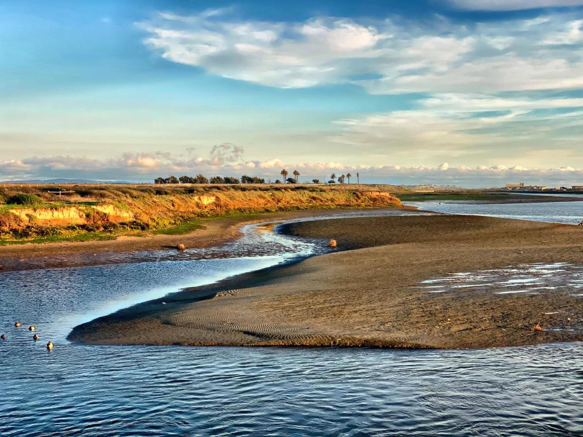 Bolsa Chica Wetlands