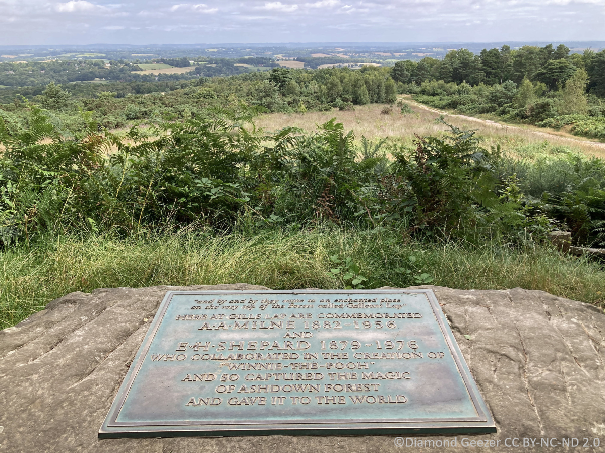 A view over a plaque commemorating winnie the pooh in the high weald