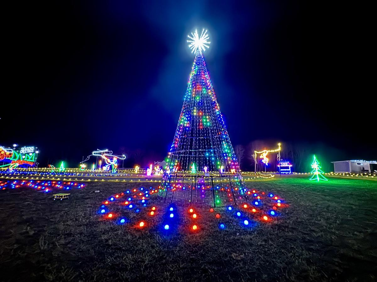 Drive Through Light Show Christmas Tree
