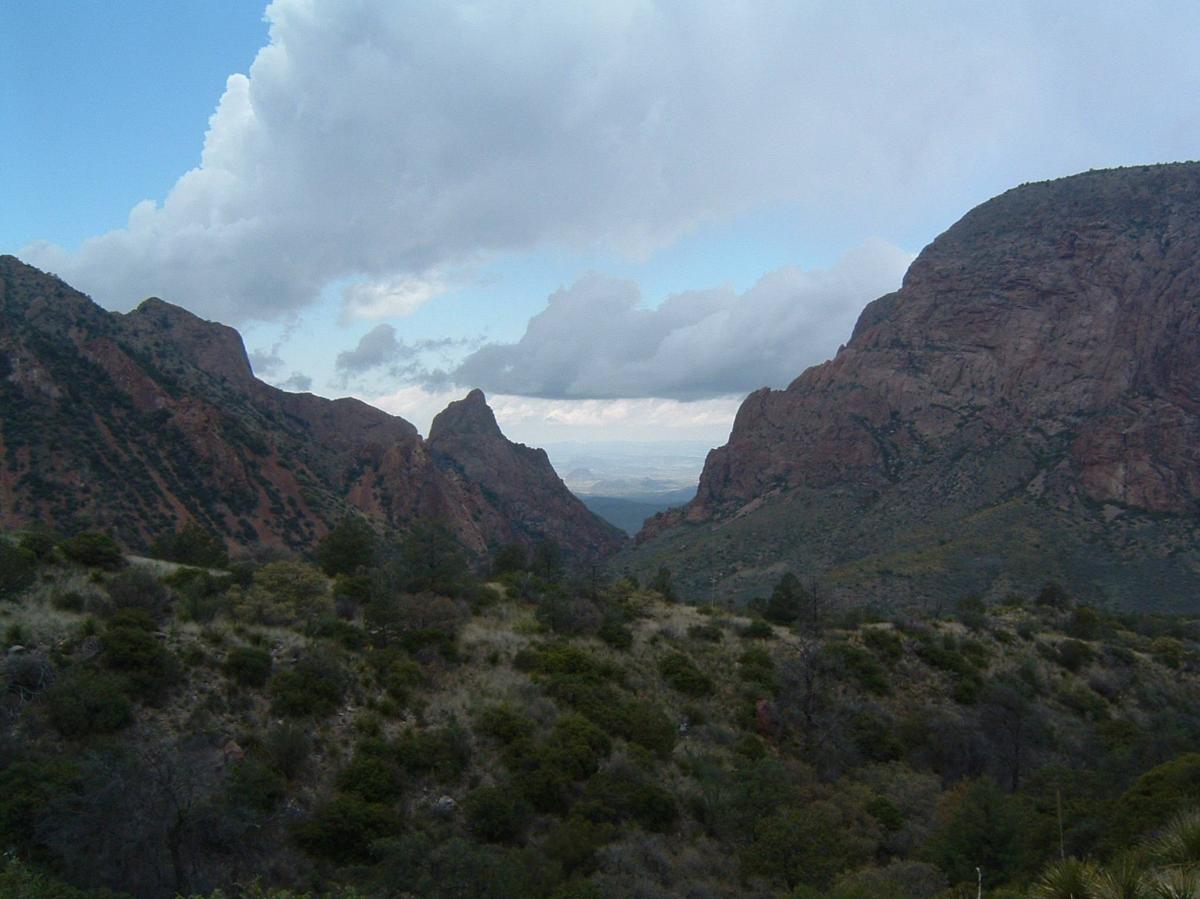 Spring_Big Bend NP