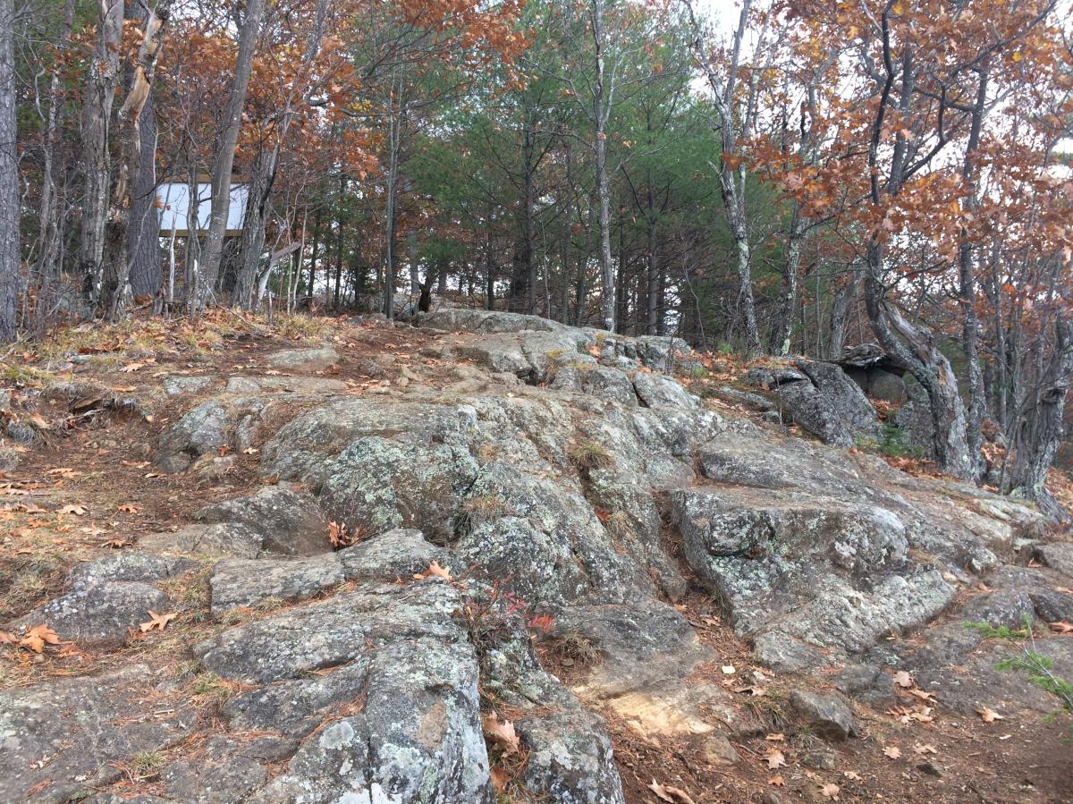 Trail on Stewart Mountain