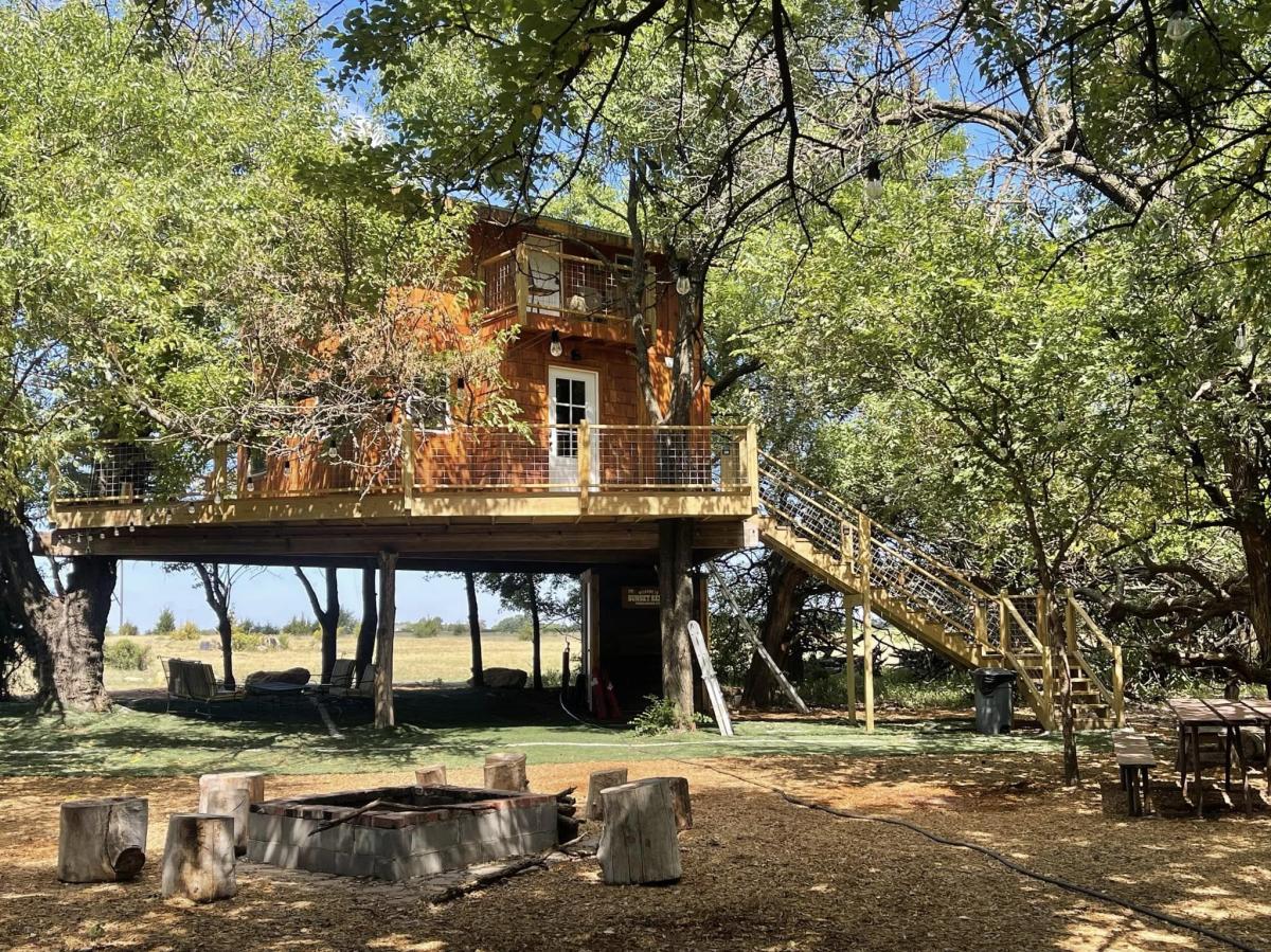 The treehouse sits in the sunshine at Diamond Springs Ranch
