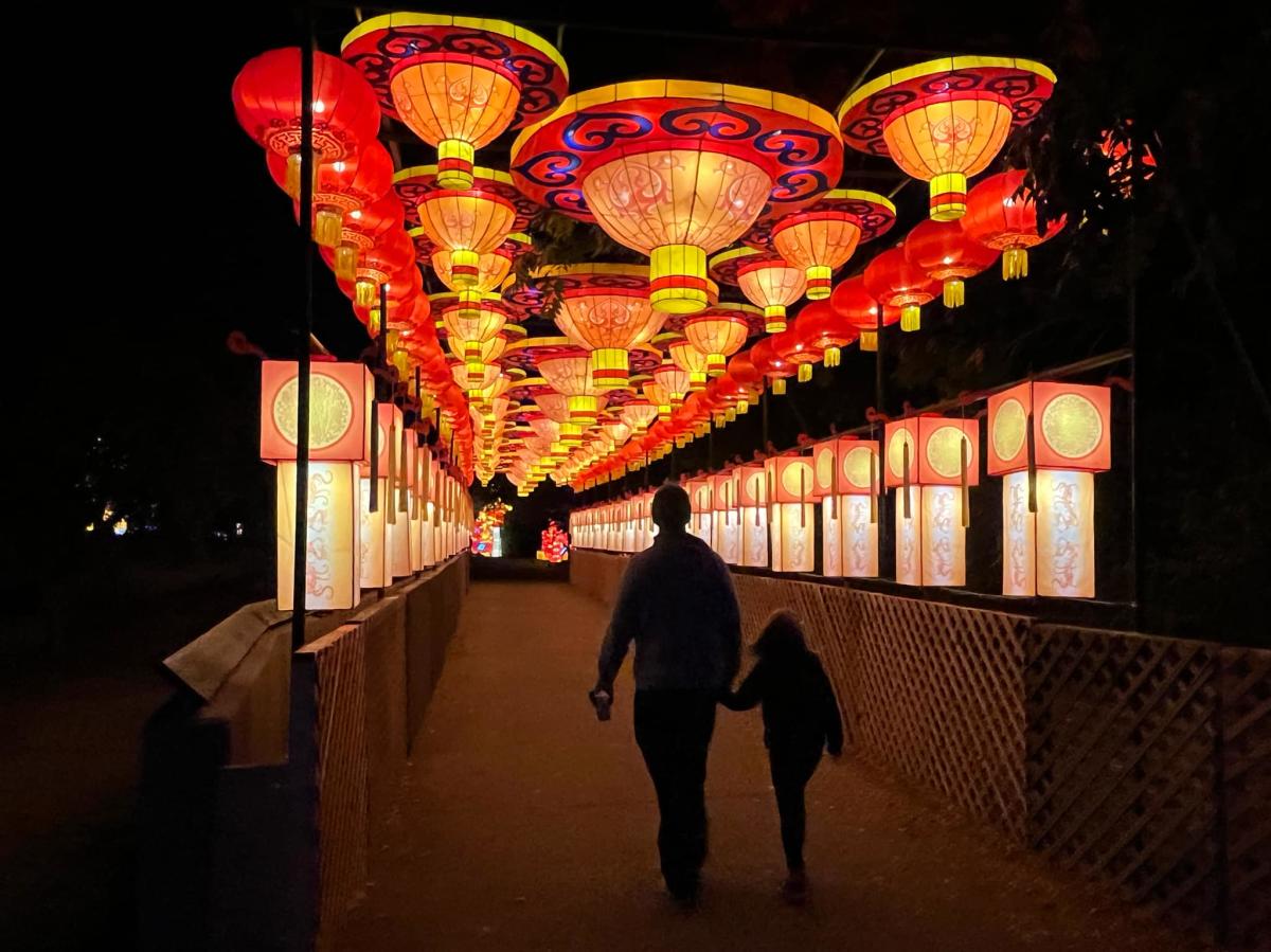 Asian lanterns illuminate the sides and top of a walkway at Sedgwick County Zoo during Wild Lights