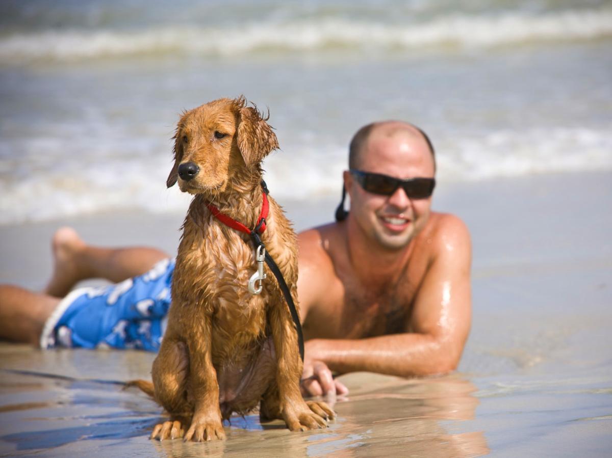 Guy with Dog