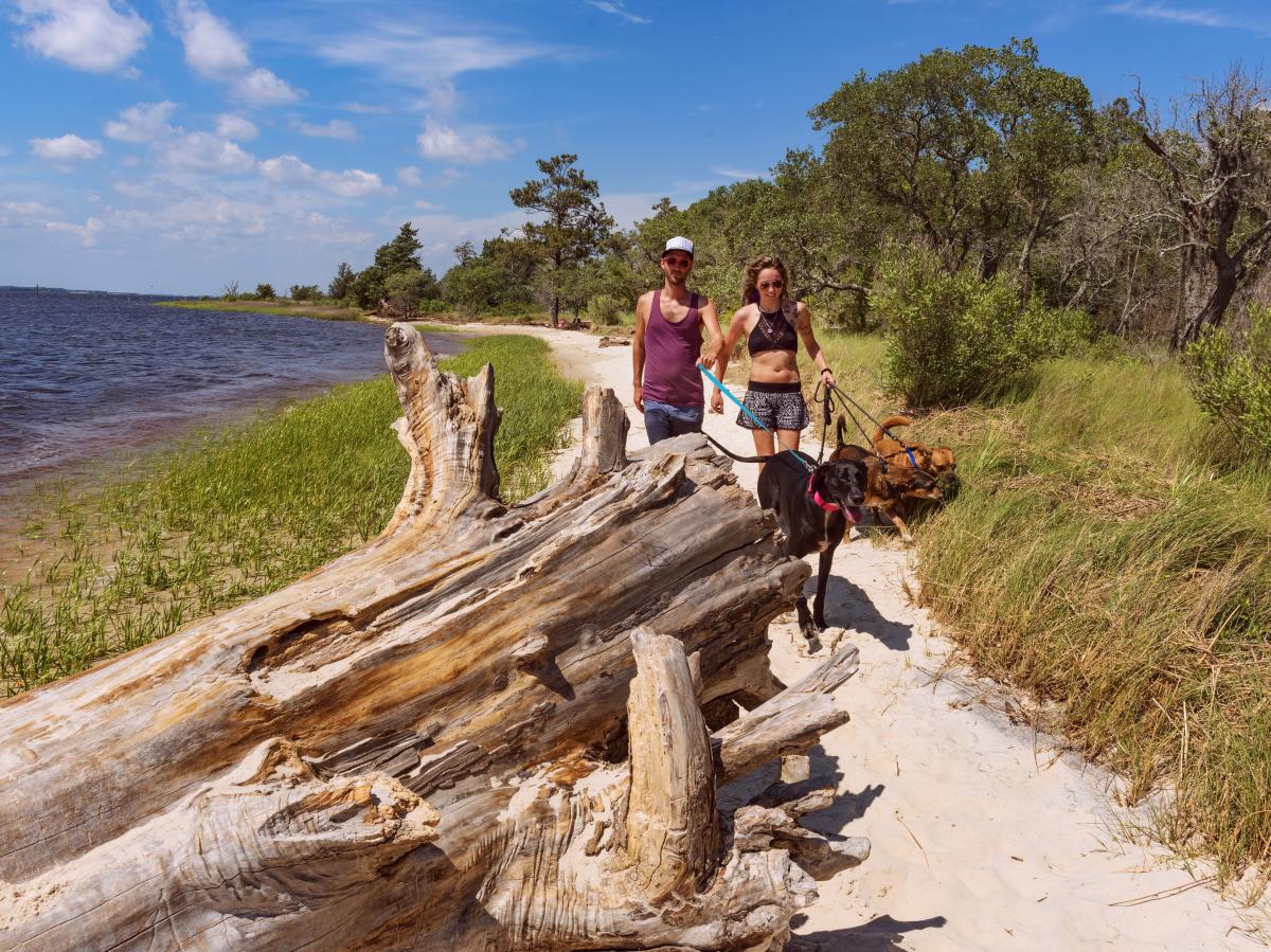 Couple and their dog hiking at Carolina Beach State Park