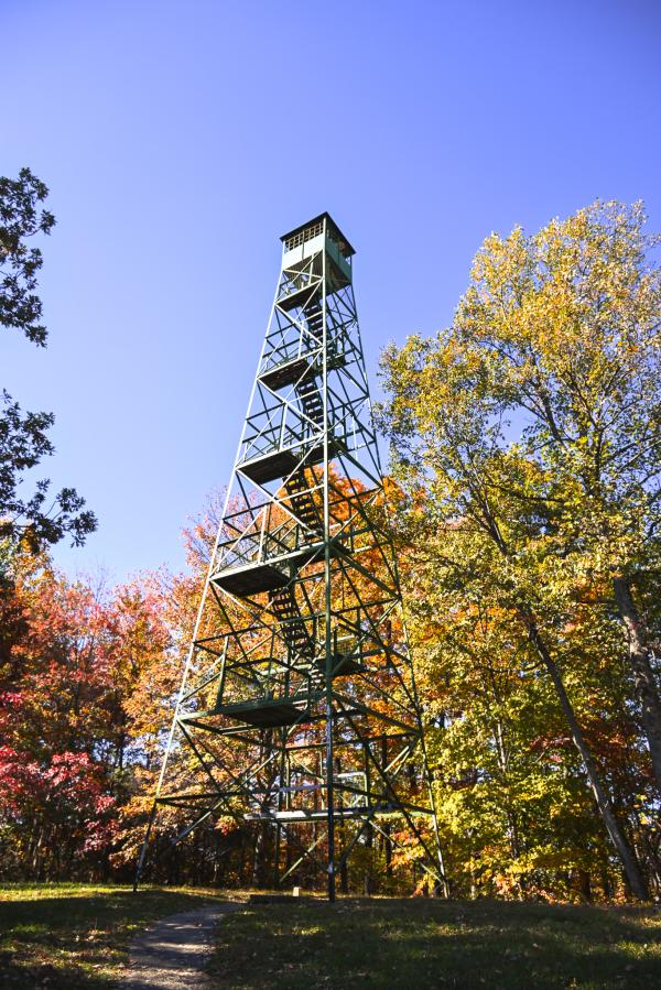 Clarks State Forrest