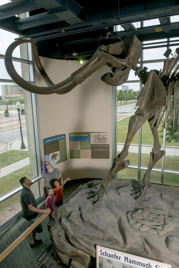 Kenosha Public Museum Mammoths