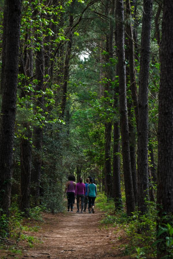 Group of friends walking among the trees at Cullinan Park.