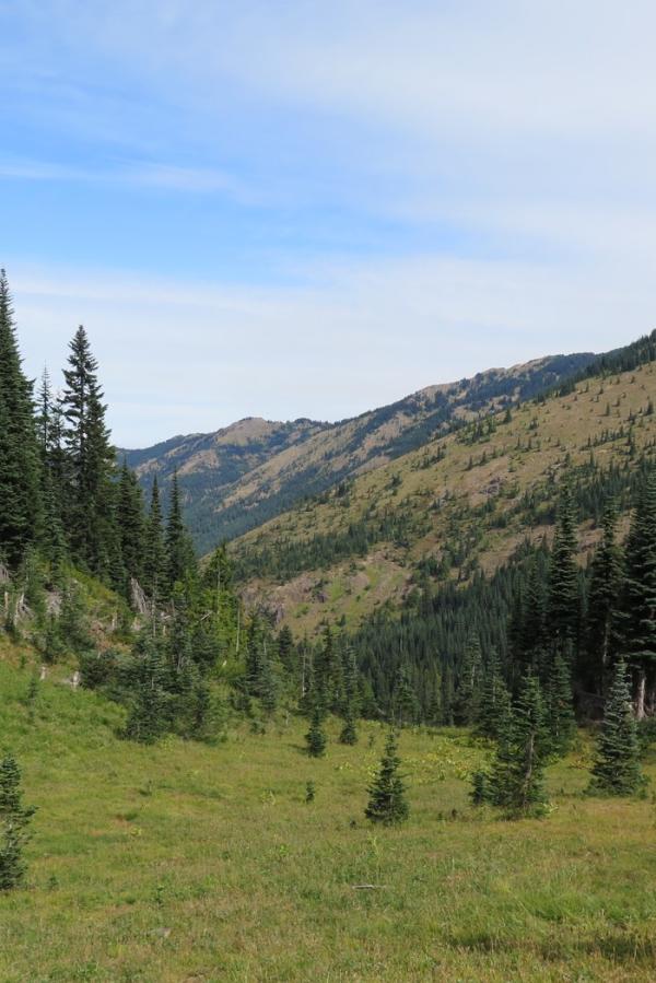 Bullion Basin