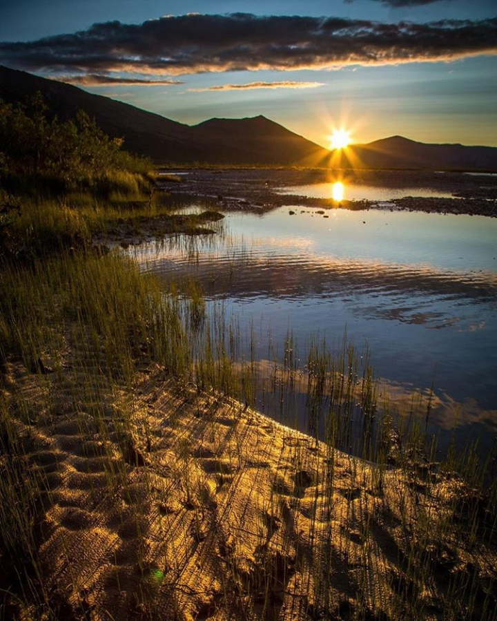 Midnight Sun Tracker  Explore Fairbanks Alaska