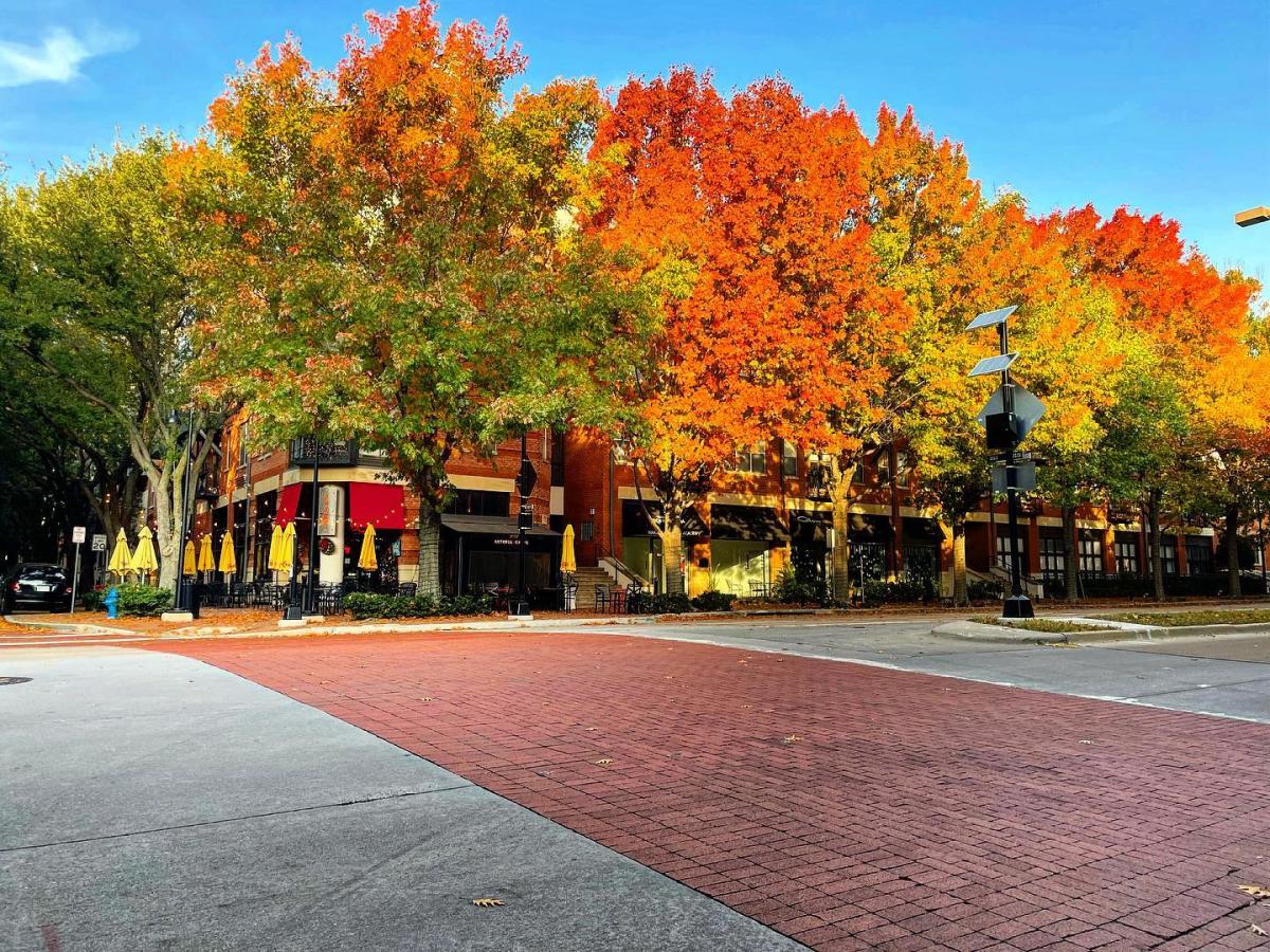 fall astoria caffe