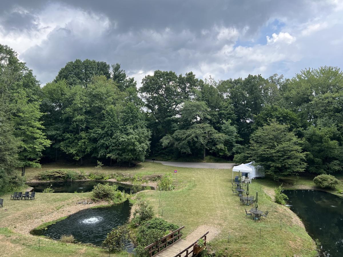 A Photo of the Lagoons at Stan Hywet Hall & Gardens