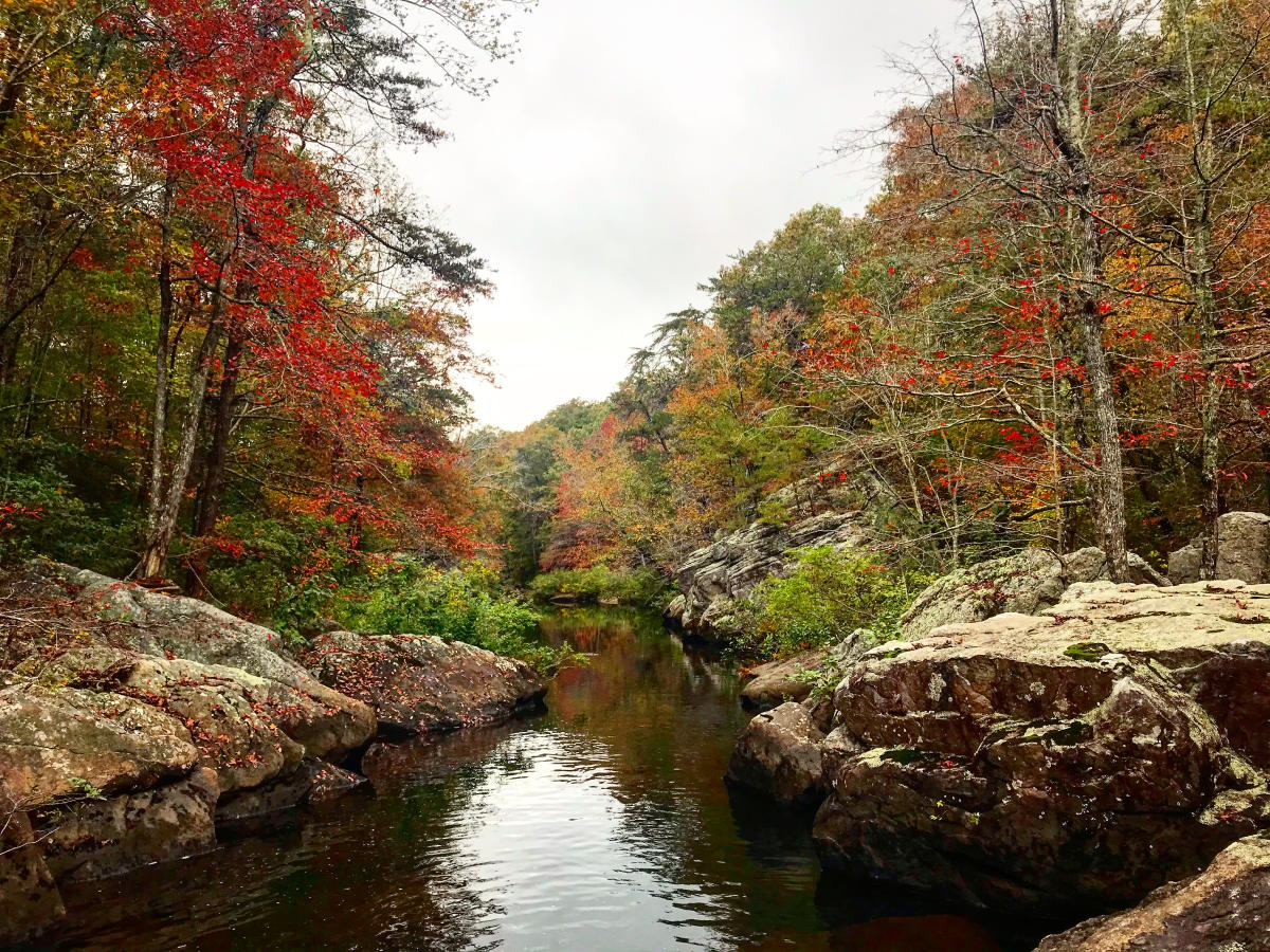 Picture of a stream with trees that have vibrant fall color surrounding it