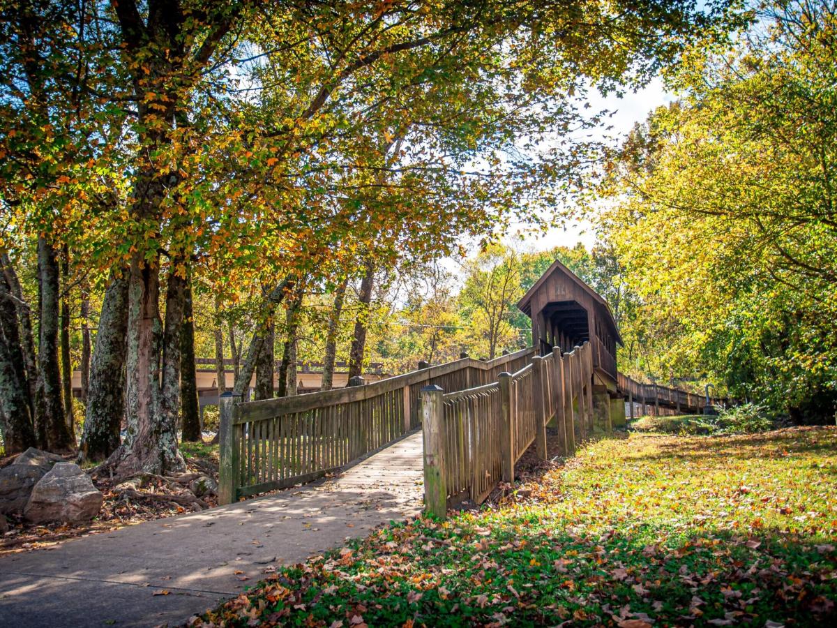 Picture of a wooden path and a covered bridge on the Richard Martin Trail