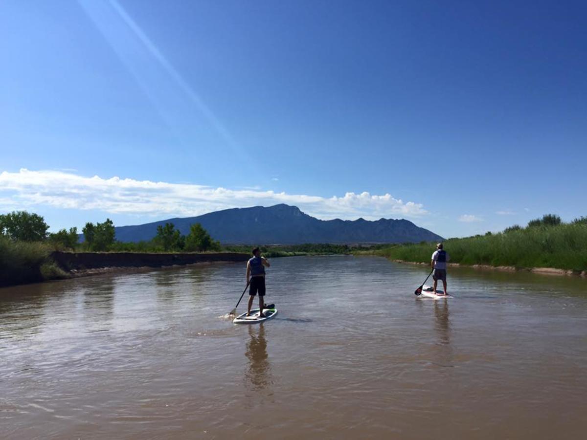 stand up paddle board