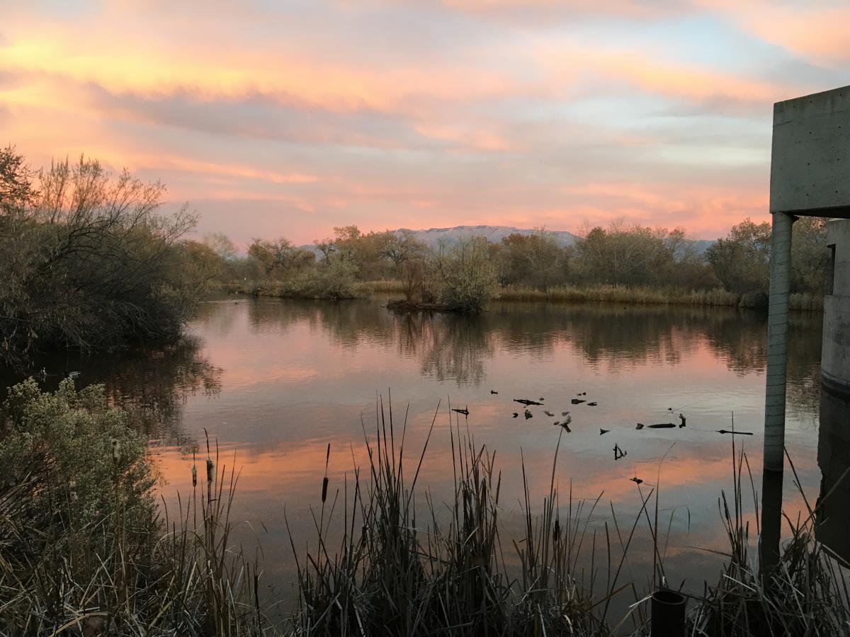 A pond at Rio Grande Nature Center State Park at sunset.