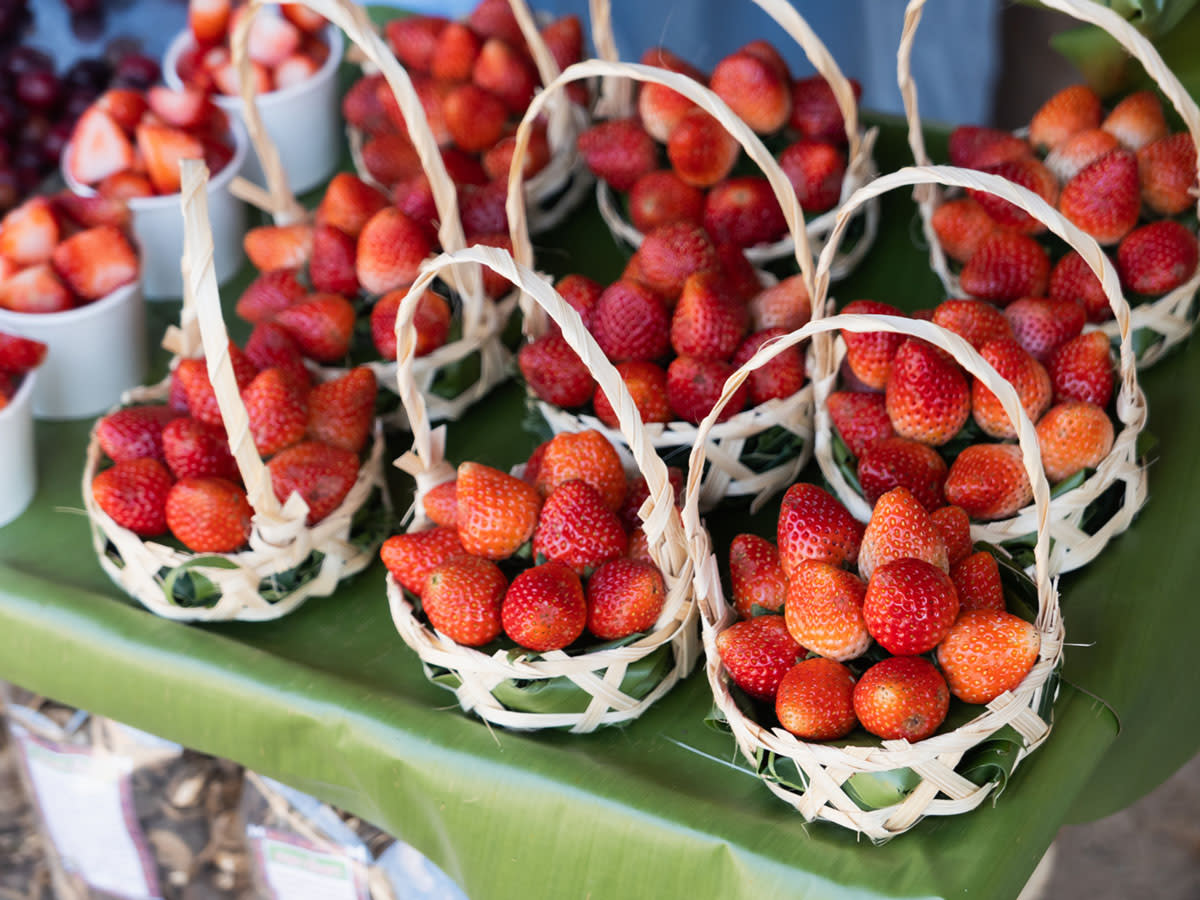Garden Grove Strawberry Baskets
