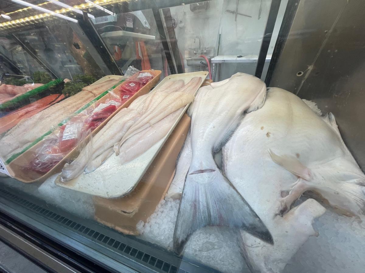 Fish at New Sagaya City Market