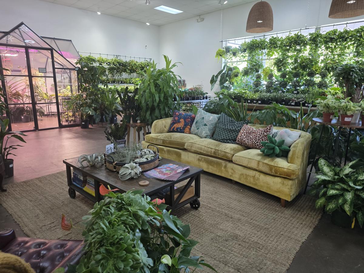Foxglove plantbar