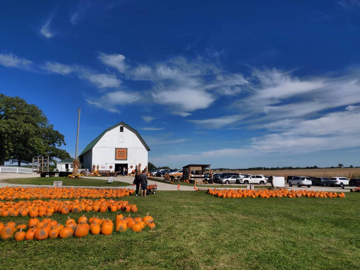Sugar Grove Pumpkin Farm in Sugar Grove, Illinois
