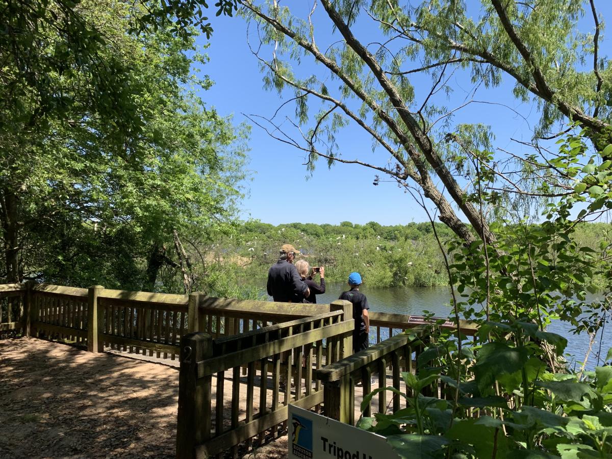 Group bird watching on walkway in Beaumont