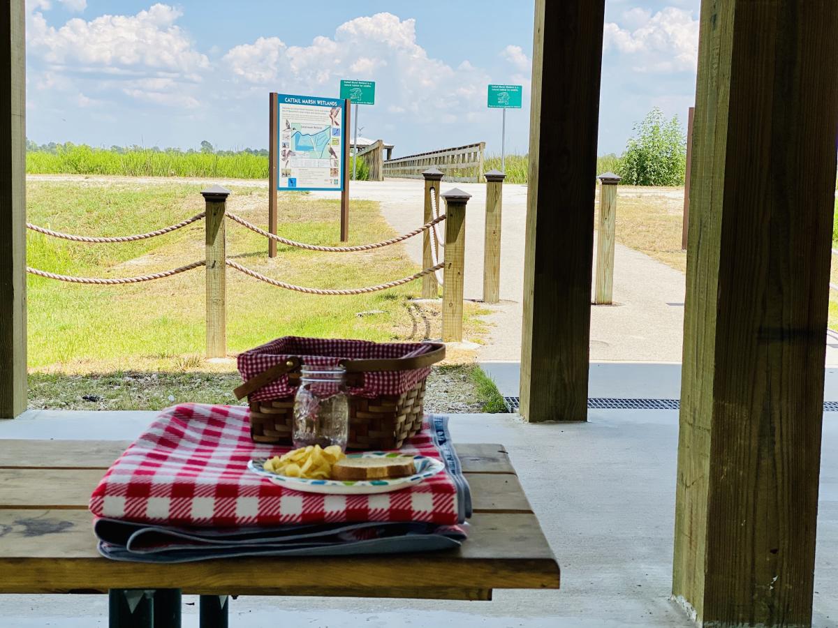 cattail picnic