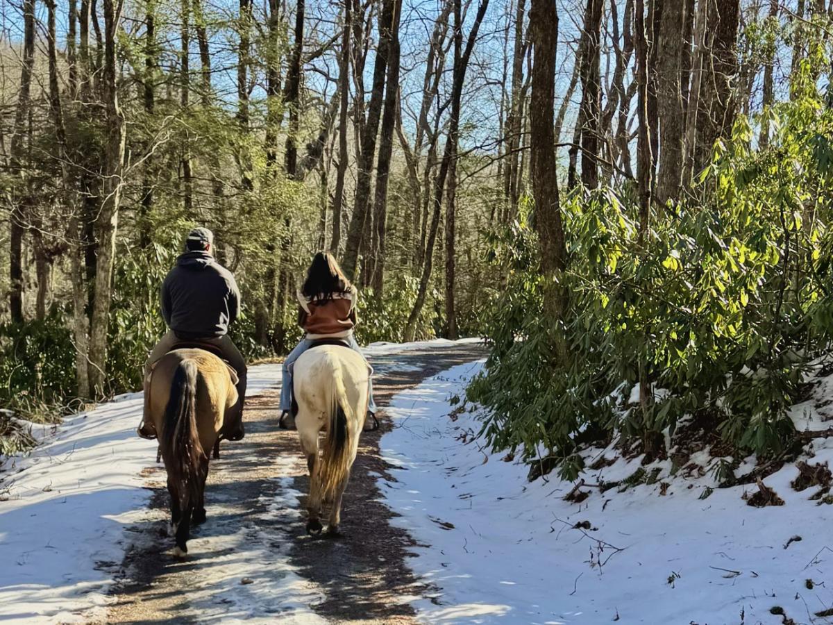 Two horses with a male and female rider walk side by side along a snowy dirt road with the sun shining through bare trees and a mountain ridge in the distance.