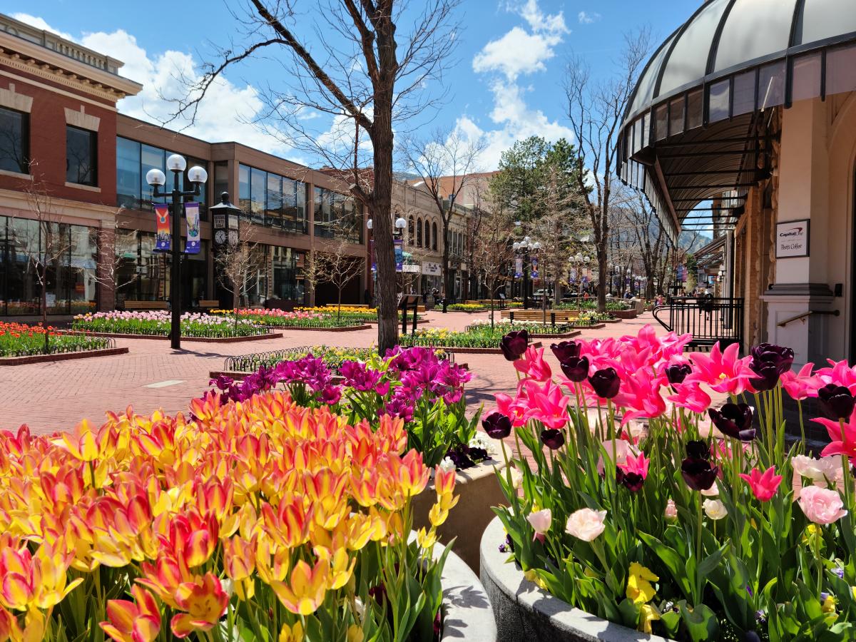 University of Colorado Boulder Parents Weekend Guide