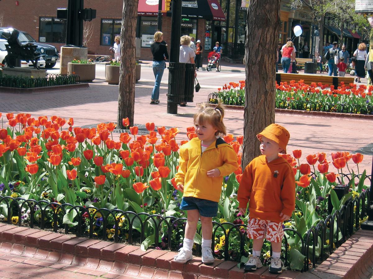 Kids with tulips on Pearl Street