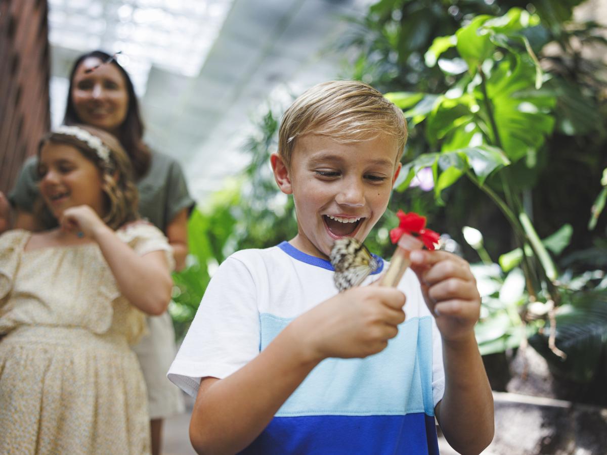 Butterfly Palace Attraction Family Spring Summer