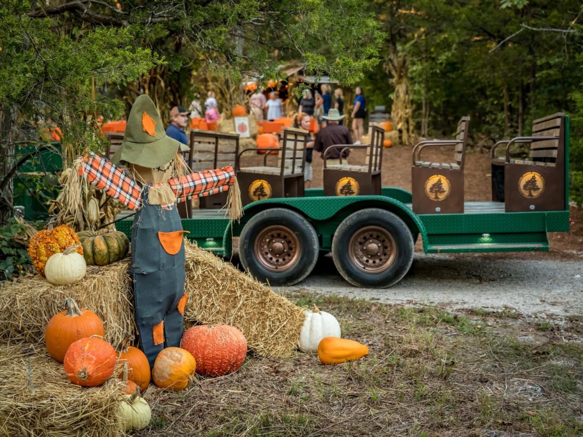 Big Cedar Fest Fall Festival