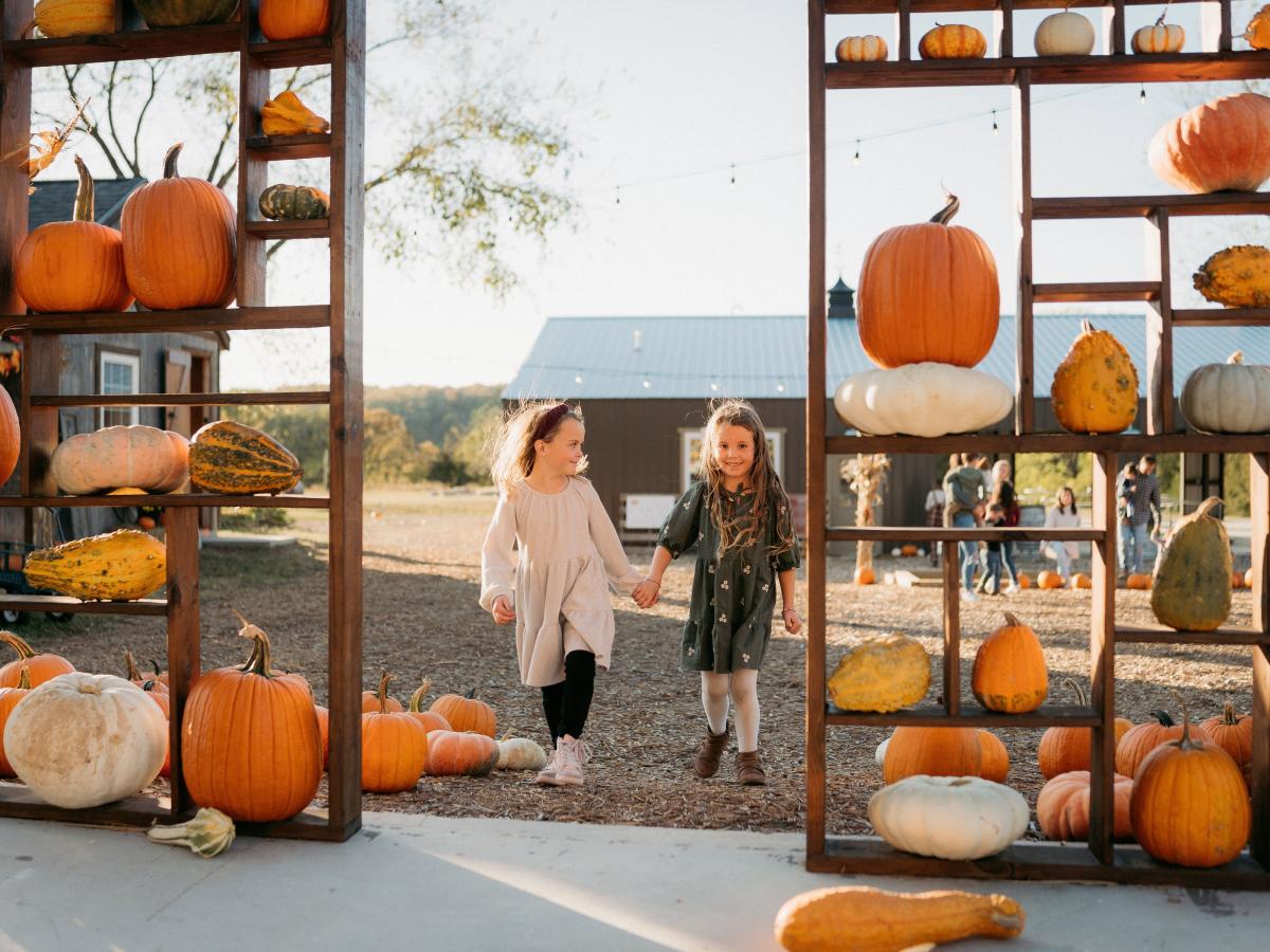 Fall Roundup 2023 Sycamore Creek Festival