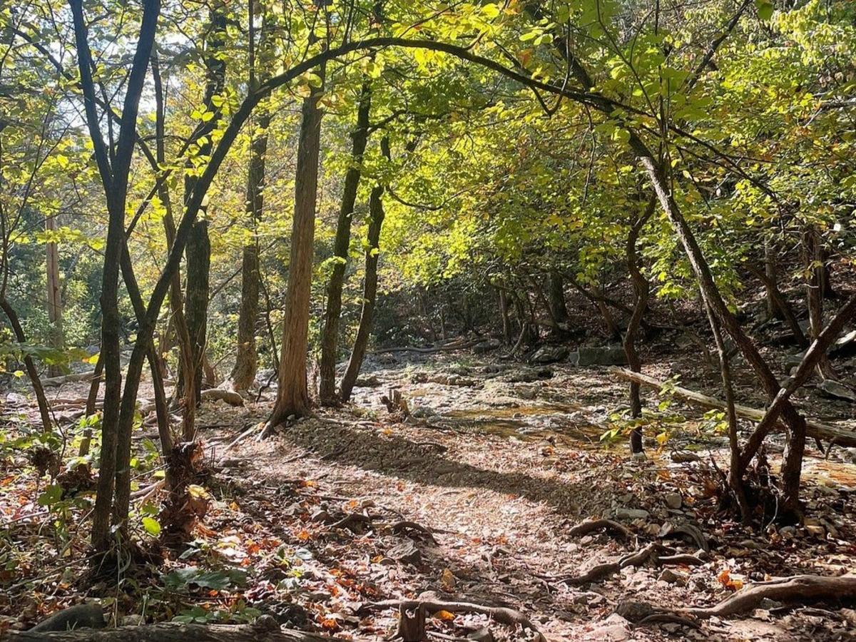 Waterfall Trail Hike Walk